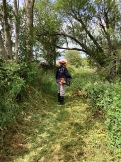clearing a path at Catton
